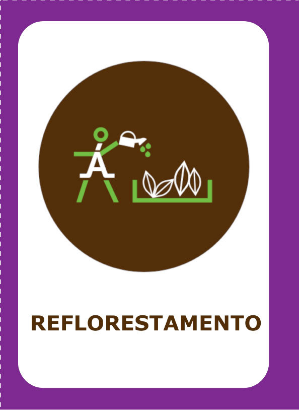 Reflorestamento