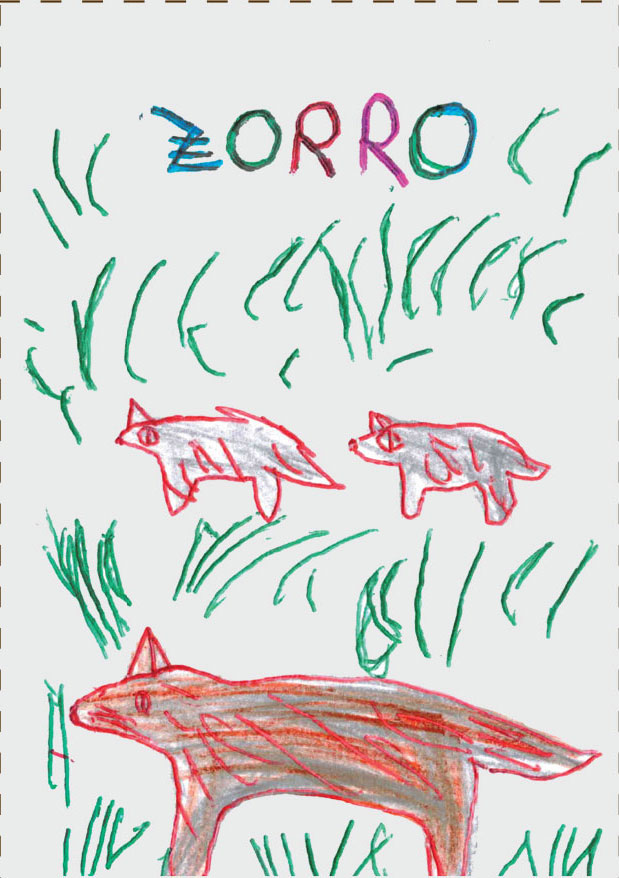 card_personagens_zorro