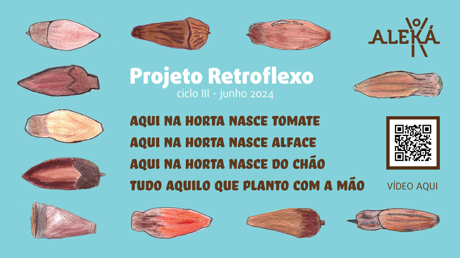 Projeto Retroflexo