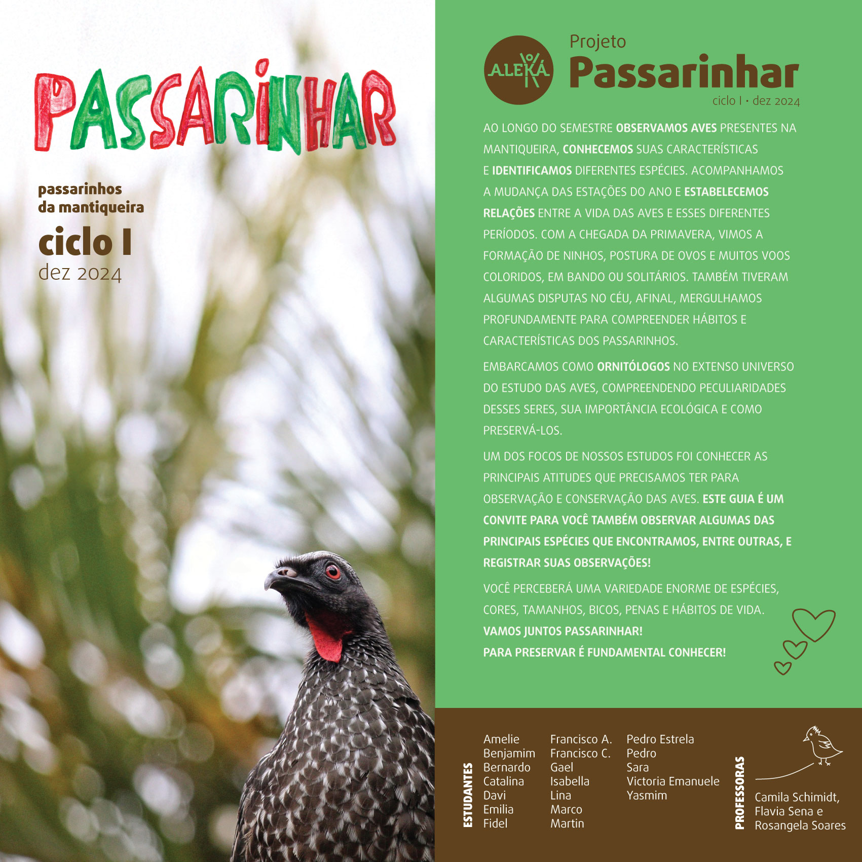 CicloI_Passarinhar_V2_web1